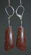 Rose Red Agatized Dinosaur Bone Earrings #5249-4